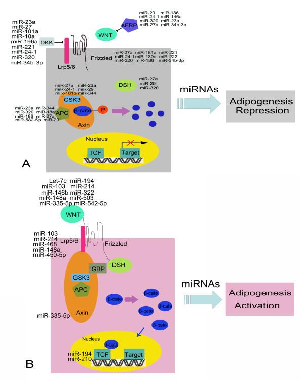 https://cdn.ncbi.nlm.nih.gov/pmc/blobs/59ff/2895628/de56ca9dd3e6/1471-2164-11-320-5.jpg