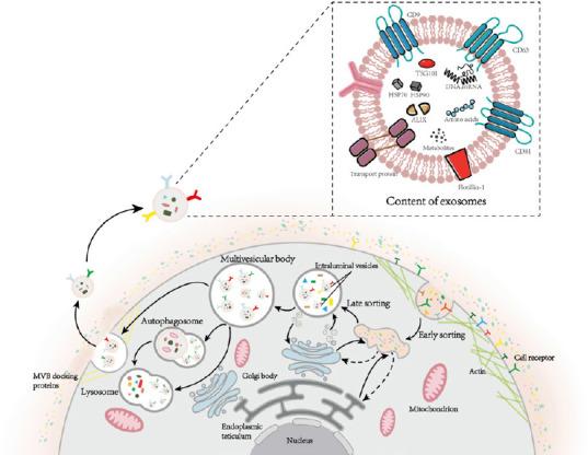 https://cdn.ncbi.nlm.nih.gov/pmc/blobs/5a00/10503605/62ea1550ef2c/NRR-19-282-g001.jpg