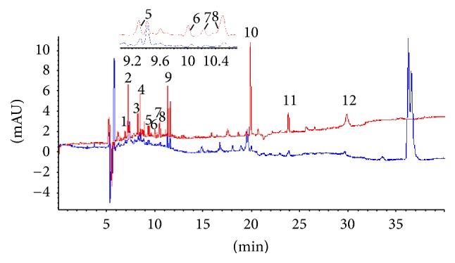 https://cdn.ncbi.nlm.nih.gov/pmc/blobs/5a00/5107834/44884939b043/ECAM2016-2712476.004.jpg