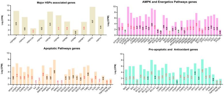 https://cdn.ncbi.nlm.nih.gov/pmc/blobs/5a01/9105522/2ac2b745e7e4/cells-11-01443-g004.jpg