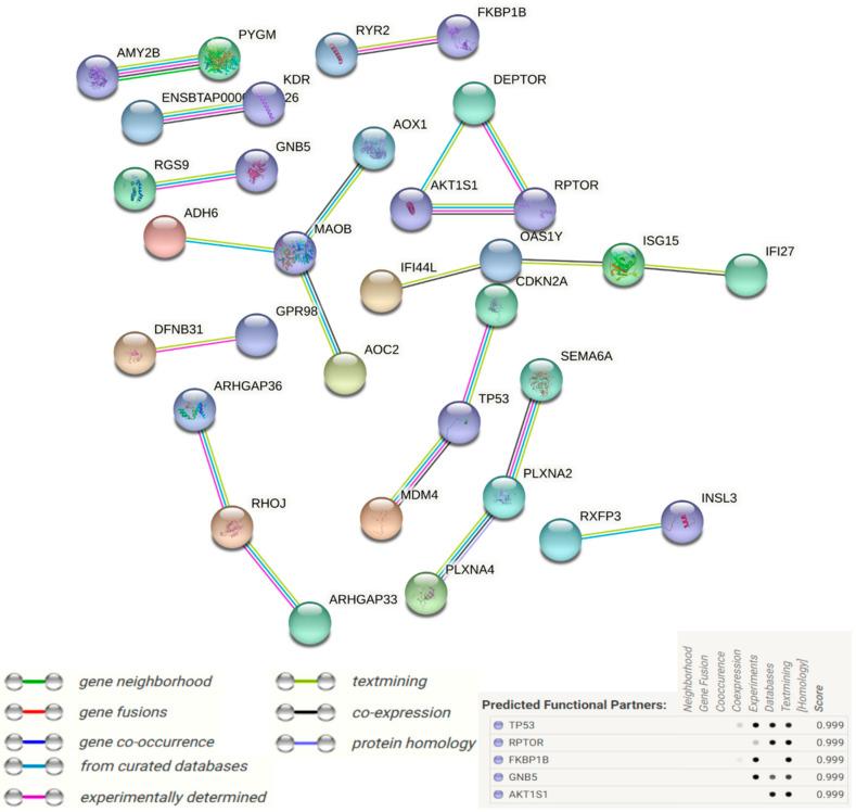 https://cdn.ncbi.nlm.nih.gov/pmc/blobs/5a01/9105522/a647371a0cd7/cells-11-01443-g009.jpg
