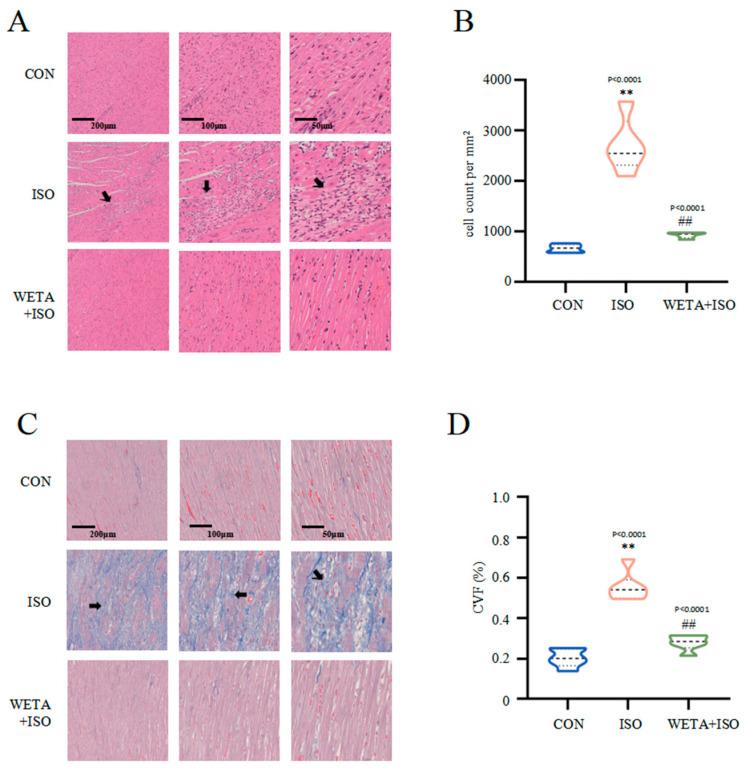 https://cdn.ncbi.nlm.nih.gov/pmc/blobs/5a02/10059042/0014d1ae3037/ijms-24-05838-g005.jpg