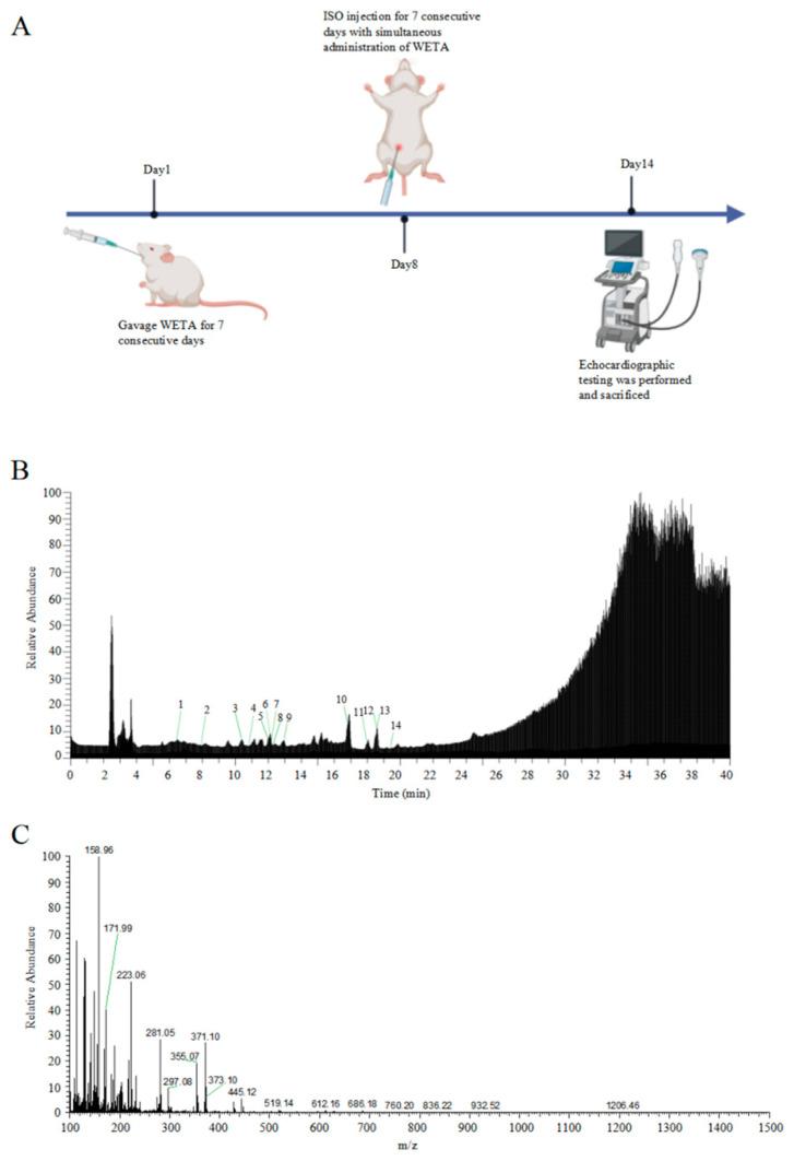 https://cdn.ncbi.nlm.nih.gov/pmc/blobs/5a02/10059042/7d5bbea4d5de/ijms-24-05838-g001.jpg