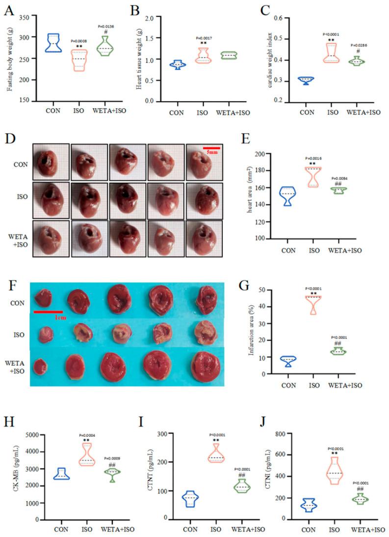 https://cdn.ncbi.nlm.nih.gov/pmc/blobs/5a02/10059042/ce07803b30e3/ijms-24-05838-g004.jpg