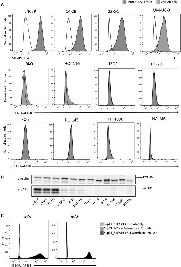 https://cdn.ncbi.nlm.nih.gov/pmc/blobs/5a02/9278049/2e64d87e2e9a/gr1.jpg