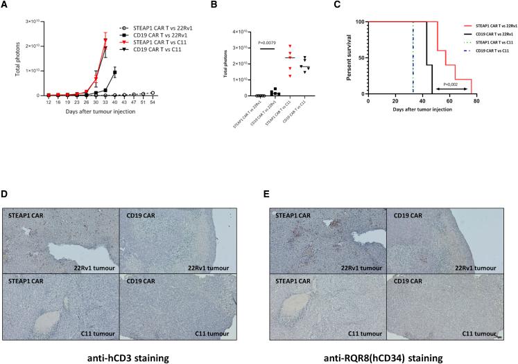 https://cdn.ncbi.nlm.nih.gov/pmc/blobs/5a02/9278049/79d701165c3a/gr8.jpg