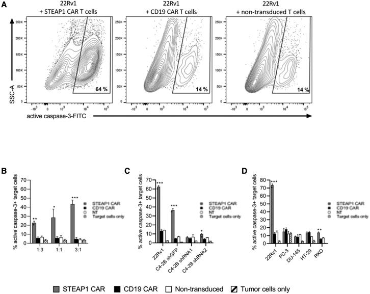 https://cdn.ncbi.nlm.nih.gov/pmc/blobs/5a02/9278049/8b89ef97d03f/gr5.jpg
