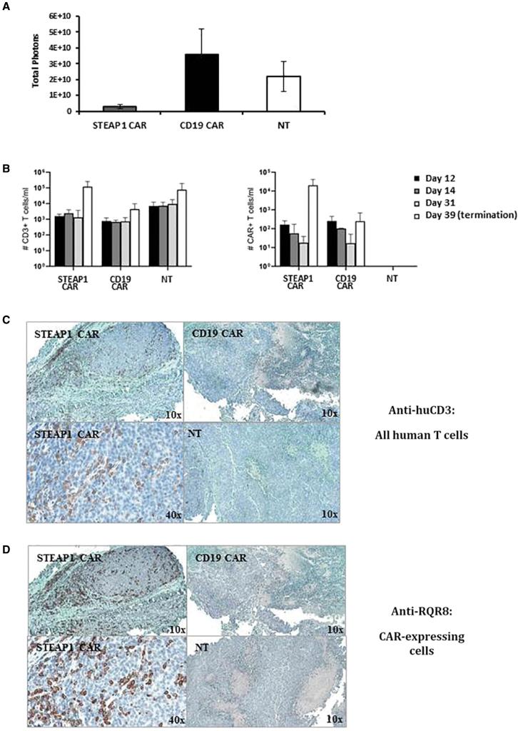 https://cdn.ncbi.nlm.nih.gov/pmc/blobs/5a02/9278049/cdd5927ea2dd/gr7.jpg