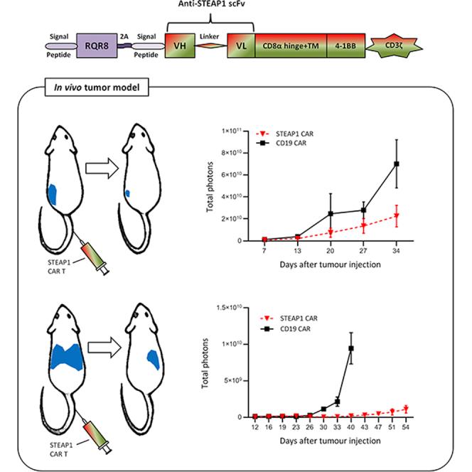 https://cdn.ncbi.nlm.nih.gov/pmc/blobs/5a02/9278049/fed3506988d4/fx1.jpg