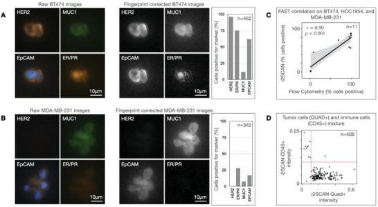 https://cdn.ncbi.nlm.nih.gov/pmc/blobs/5a02/9284190/6a7465b93e76/ADVS-9-2200415-g008.jpg
