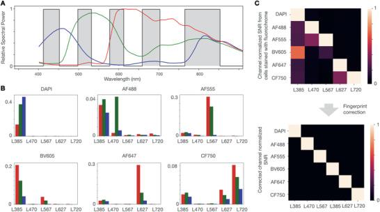 https://cdn.ncbi.nlm.nih.gov/pmc/blobs/5a02/9284190/8dbddaff1431/ADVS-9-2200415-g007.jpg