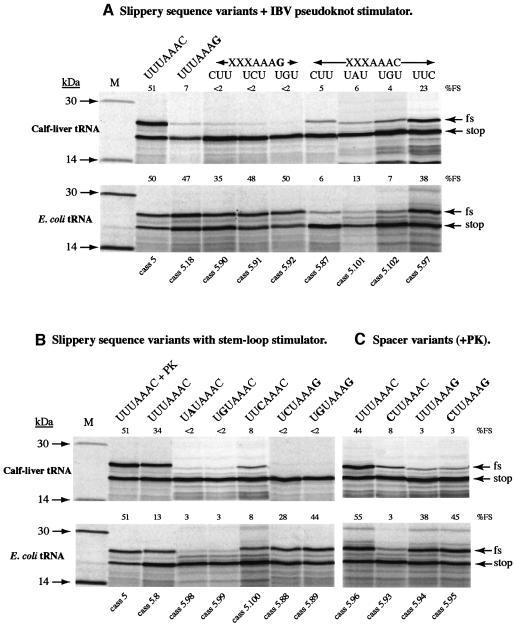 https://cdn.ncbi.nlm.nih.gov/pmc/blobs/5a03/169038/d5cafd41b866/cdg365f4.jpg