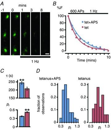 https://cdn.ncbi.nlm.nih.gov/pmc/blobs/5a04/3413500/2db0cc4c2a47/tjp0590-1585-f6.jpg