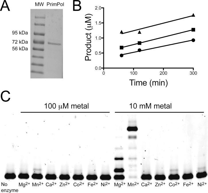 https://cdn.ncbi.nlm.nih.gov/pmc/blobs/5a04/4204878/18da39dac679/bi-2014-01024u_0001.jpg