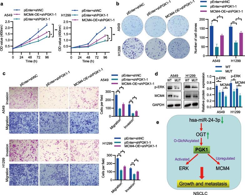 https://cdn.ncbi.nlm.nih.gov/pmc/blobs/5a05/10759362/06f0df7d94aa/13062_2023_448_Fig10_HTML.jpg