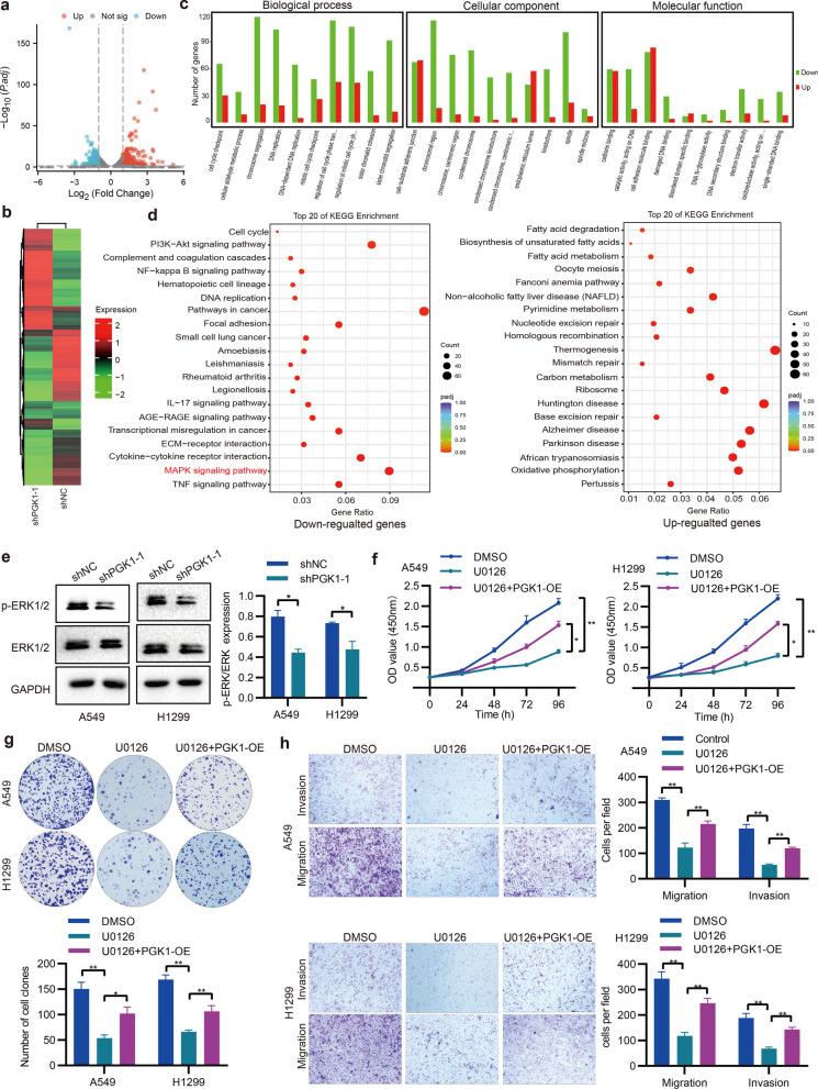 https://cdn.ncbi.nlm.nih.gov/pmc/blobs/5a05/10759362/45a9a321b130/13062_2023_448_Fig8_HTML.jpg