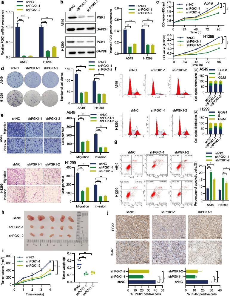 https://cdn.ncbi.nlm.nih.gov/pmc/blobs/5a05/10759362/4903e47f0d44/13062_2023_448_Fig3_HTML.jpg