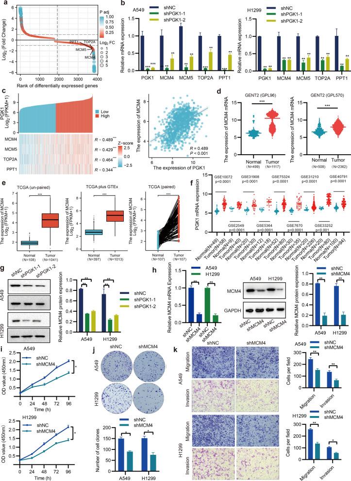https://cdn.ncbi.nlm.nih.gov/pmc/blobs/5a05/10759362/bbbf06de290a/13062_2023_448_Fig9_HTML.jpg