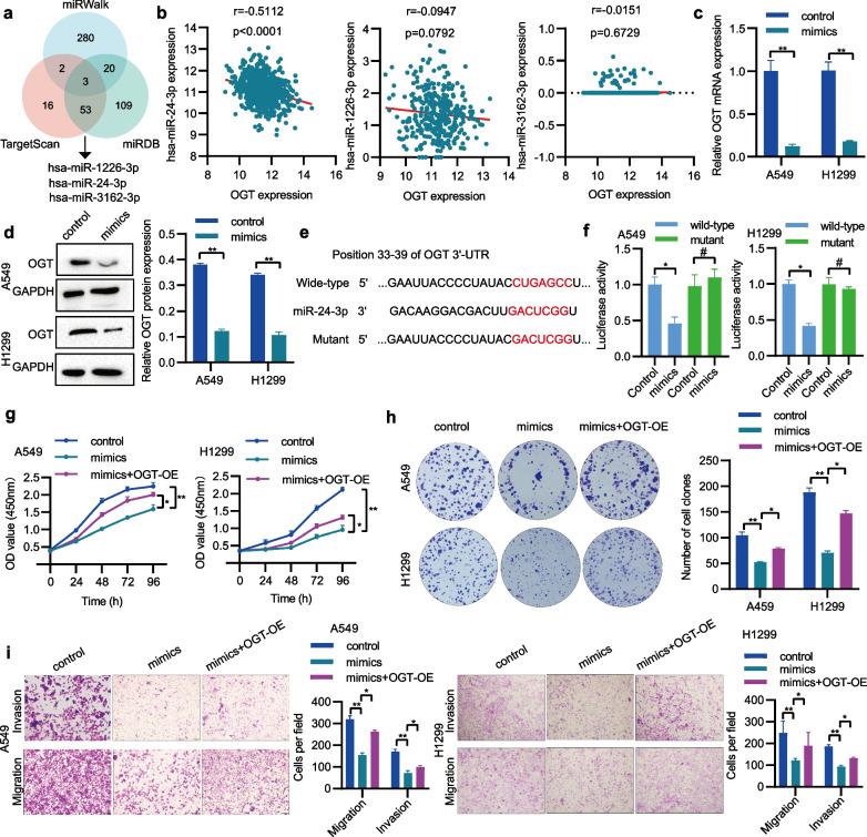 https://cdn.ncbi.nlm.nih.gov/pmc/blobs/5a05/10759362/c246673553ea/13062_2023_448_Fig7_HTML.jpg