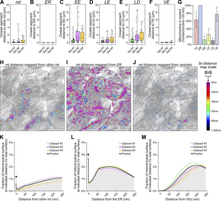 https://cdn.ncbi.nlm.nih.gov/pmc/blobs/5a06/12309365/7257230d6347/jcb_202411138_fig6.jpg