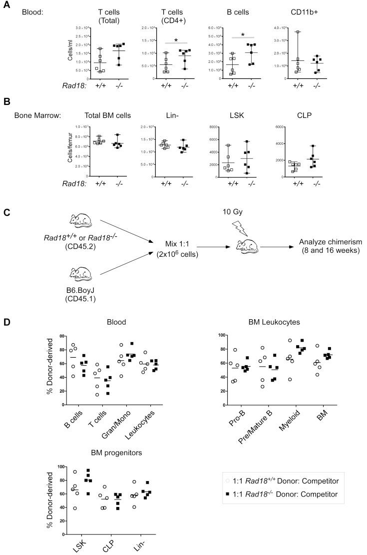 https://cdn.ncbi.nlm.nih.gov/pmc/blobs/5a07/4872084/49eccf05fee0/gkw072fig2.jpg