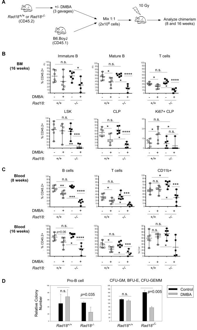 https://cdn.ncbi.nlm.nih.gov/pmc/blobs/5a07/4872084/a7a576a11443/gkw072fig5.jpg