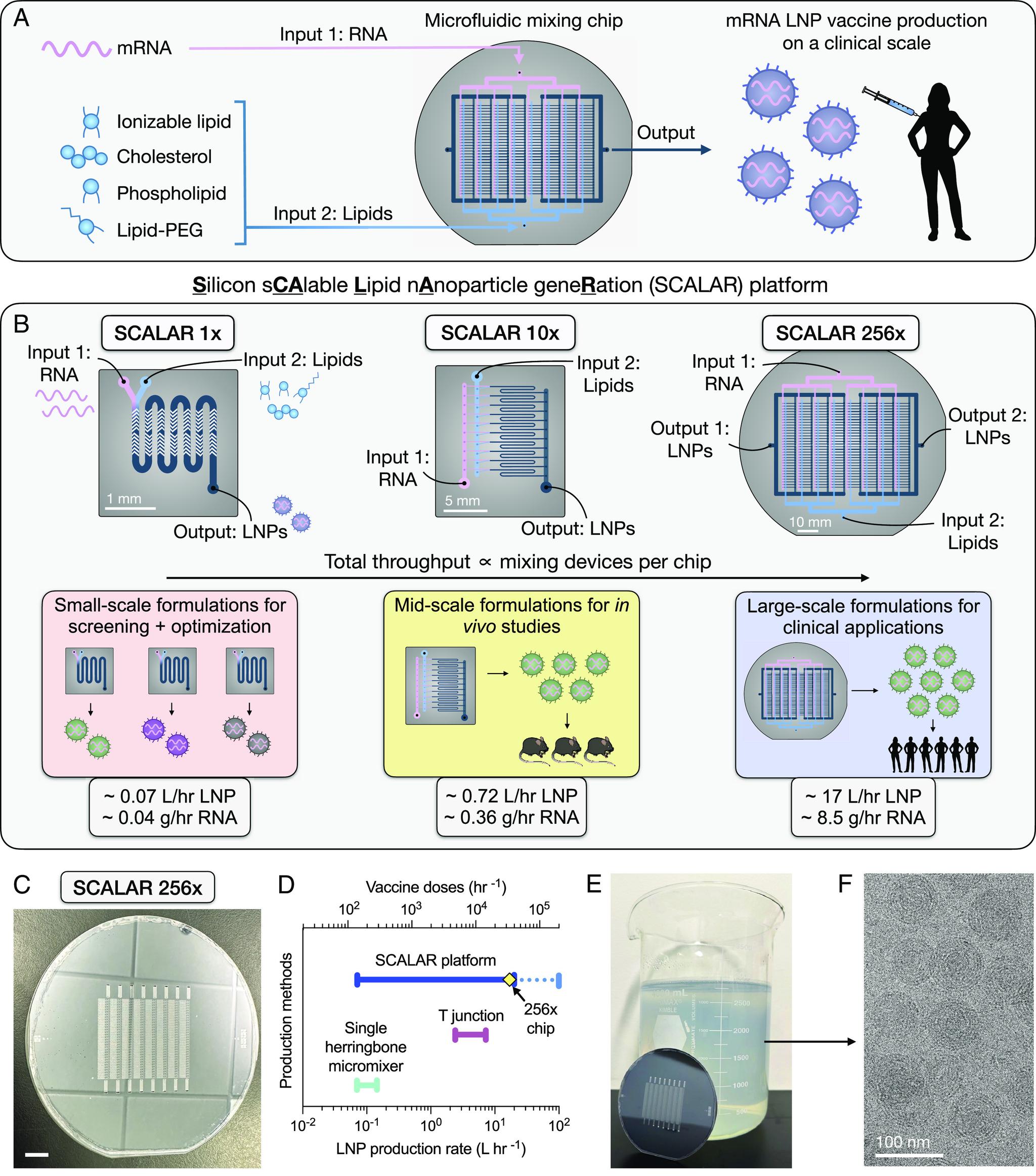 https://cdn.ncbi.nlm.nih.gov/pmc/blobs/5a08/10438381/21f89981a465/pnas.2303567120fig01.jpg