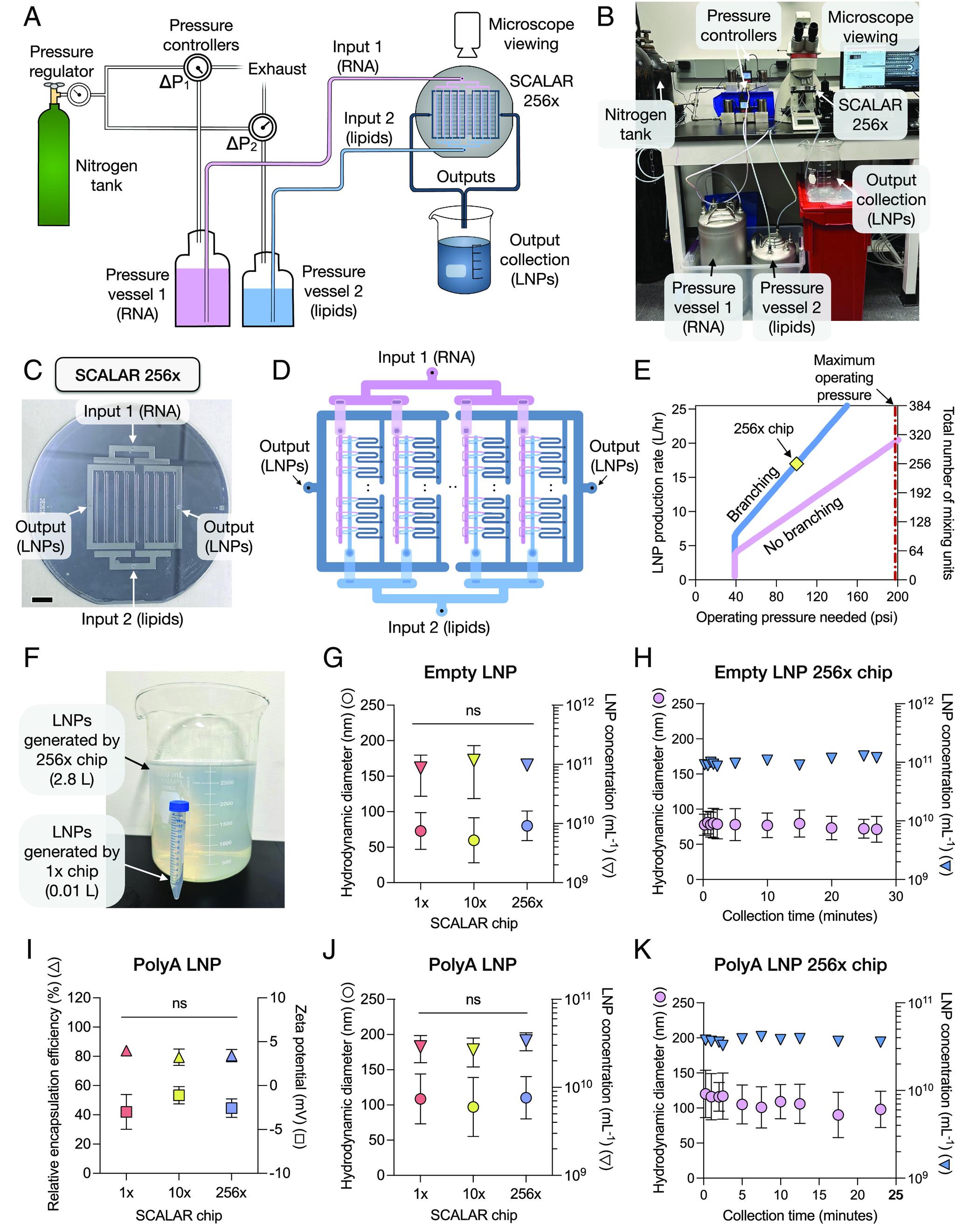 https://cdn.ncbi.nlm.nih.gov/pmc/blobs/5a08/10438381/c701d0407212/pnas.2303567120fig06.jpg