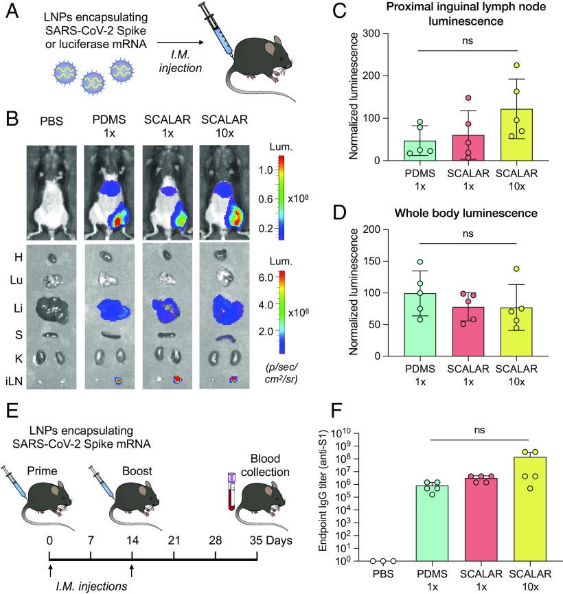 https://cdn.ncbi.nlm.nih.gov/pmc/blobs/5a08/10438381/cab8552c072f/pnas.2303567120fig05.jpg