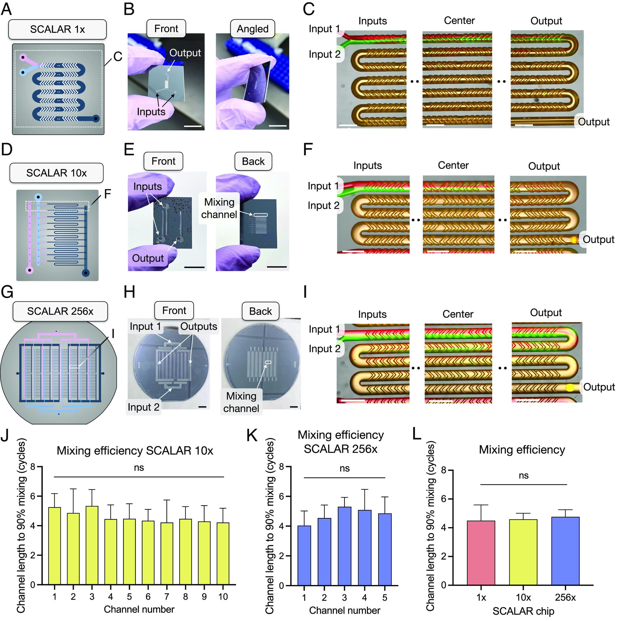 https://cdn.ncbi.nlm.nih.gov/pmc/blobs/5a08/10438381/da56302d6803/pnas.2303567120fig02.jpg