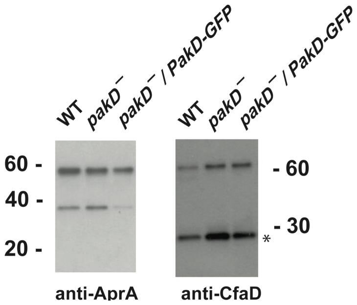 https://cdn.ncbi.nlm.nih.gov/pmc/blobs/5a08/4010531/02ae71e91288/pone.0096633.g002.jpg
