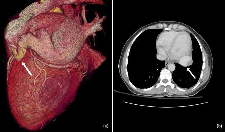https://cdn.ncbi.nlm.nih.gov/pmc/blobs/5a09/10986014/fd3c05d73673/12872_2024_3851_Fig2_HTML.jpg