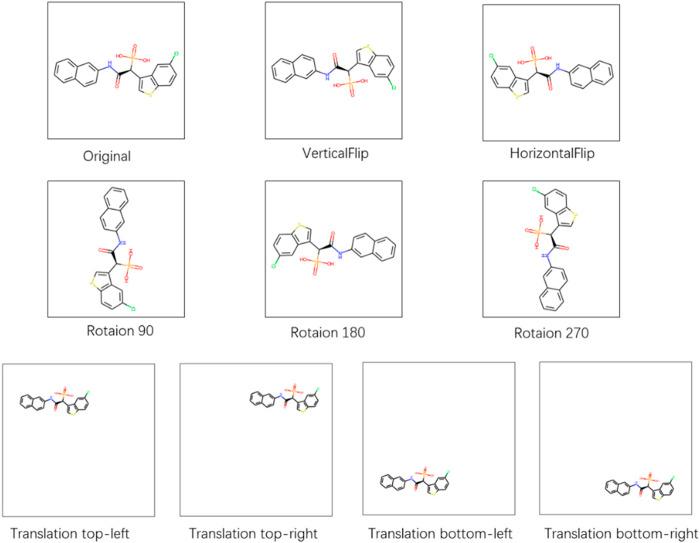 https://cdn.ncbi.nlm.nih.gov/pmc/blobs/5a09/9520300/f8343b610aab/fmolb-09-963912-g006.jpg