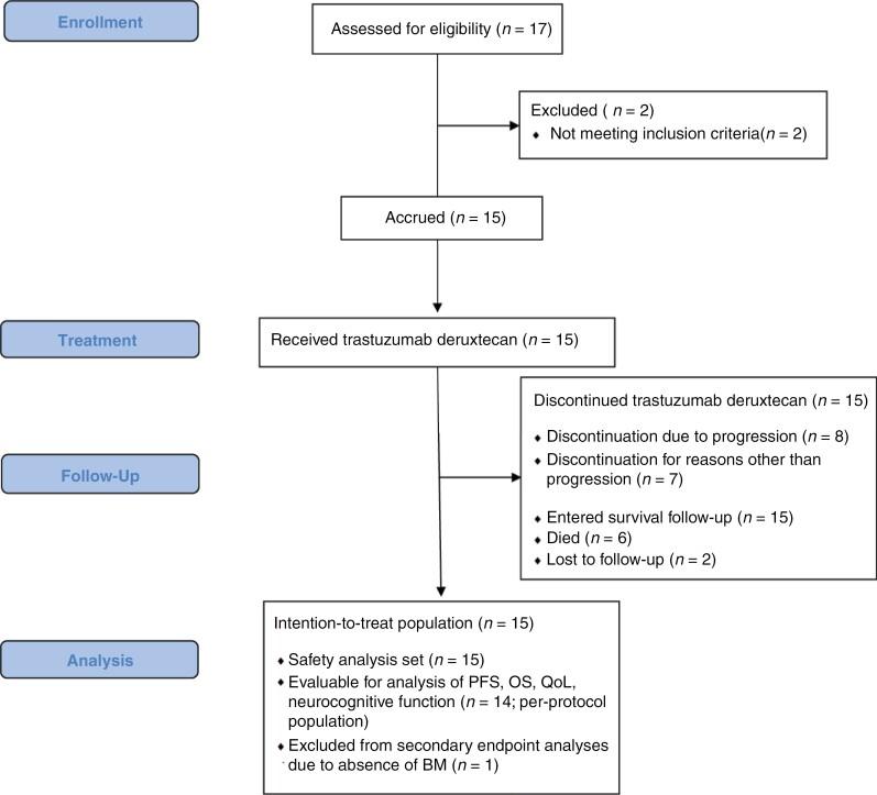 https://cdn.ncbi.nlm.nih.gov/pmc/blobs/5a0a/11630562/b7baff7740b9/noae123_fig1.jpg