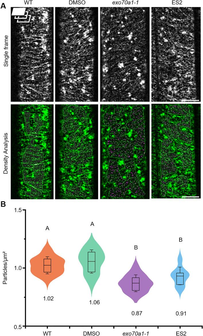 https://cdn.ncbi.nlm.nih.gov/pmc/blobs/5a0a/11682430/0e7a2ea94f8f/41598_2024_82606_Fig2_HTML.jpg