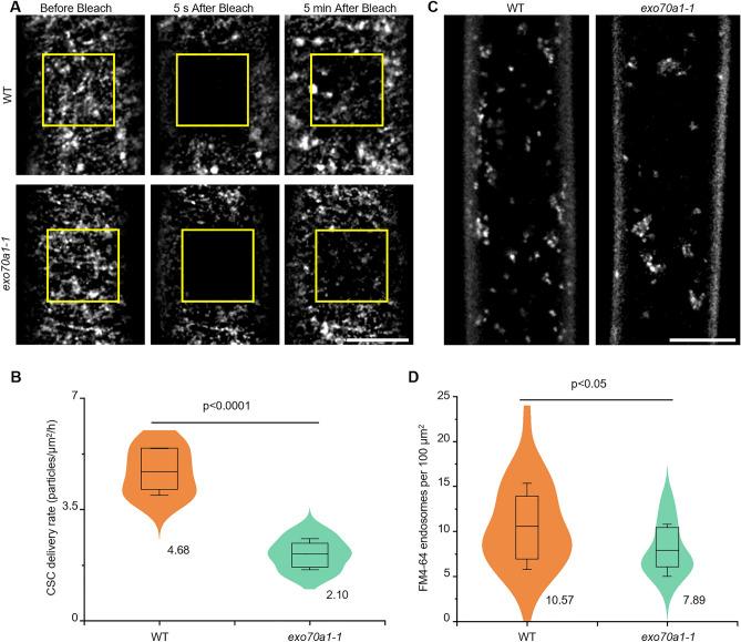 https://cdn.ncbi.nlm.nih.gov/pmc/blobs/5a0a/11682430/2548e345a60c/41598_2024_82606_Fig4_HTML.jpg