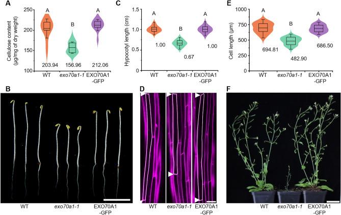 https://cdn.ncbi.nlm.nih.gov/pmc/blobs/5a0a/11682430/feb75dccd64e/41598_2024_82606_Fig1_HTML.jpg