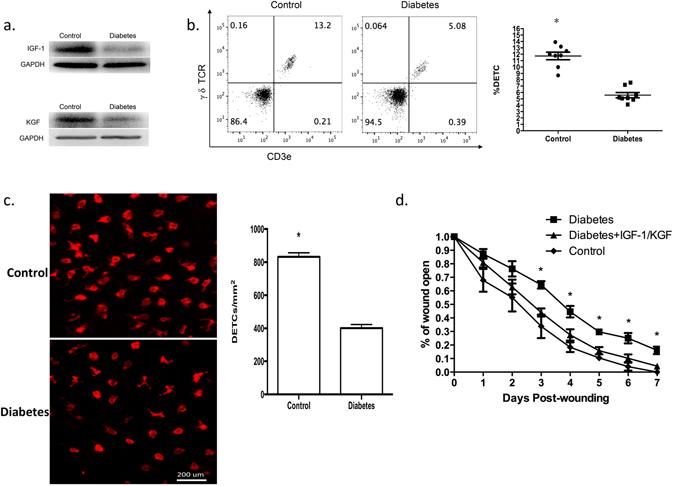https://cdn.ncbi.nlm.nih.gov/pmc/blobs/5a0a/5519720/948226ad00db/41598_2017_5950_Fig1_HTML.jpg