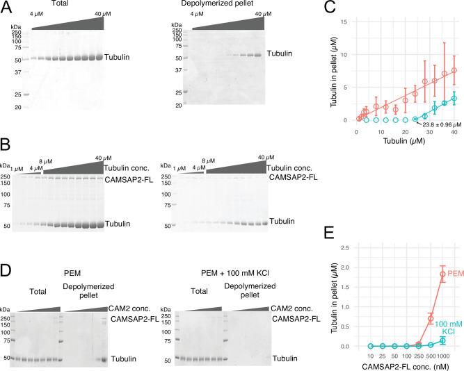 https://cdn.ncbi.nlm.nih.gov/pmc/blobs/5a0a/9239687/1852a9ea4b37/elife-77365-fig2.jpg