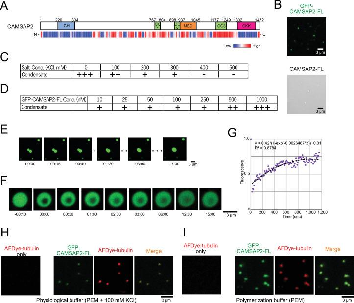 https://cdn.ncbi.nlm.nih.gov/pmc/blobs/5a0a/9239687/3b6515259133/elife-77365-fig3.jpg