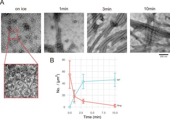 https://cdn.ncbi.nlm.nih.gov/pmc/blobs/5a0a/9239687/a8c133f6209f/elife-77365-fig7.jpg