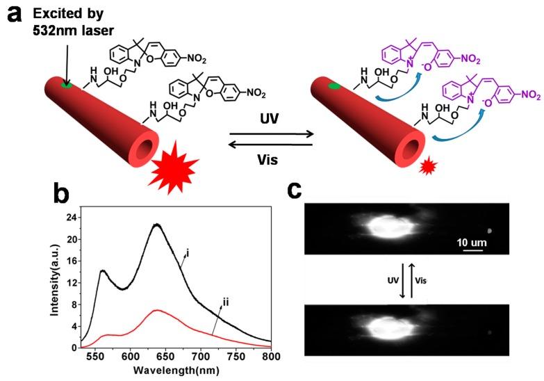 https://cdn.ncbi.nlm.nih.gov/pmc/blobs/5a0b/6149790/1476663b9e1e/molecules-22-02236-g006.jpg