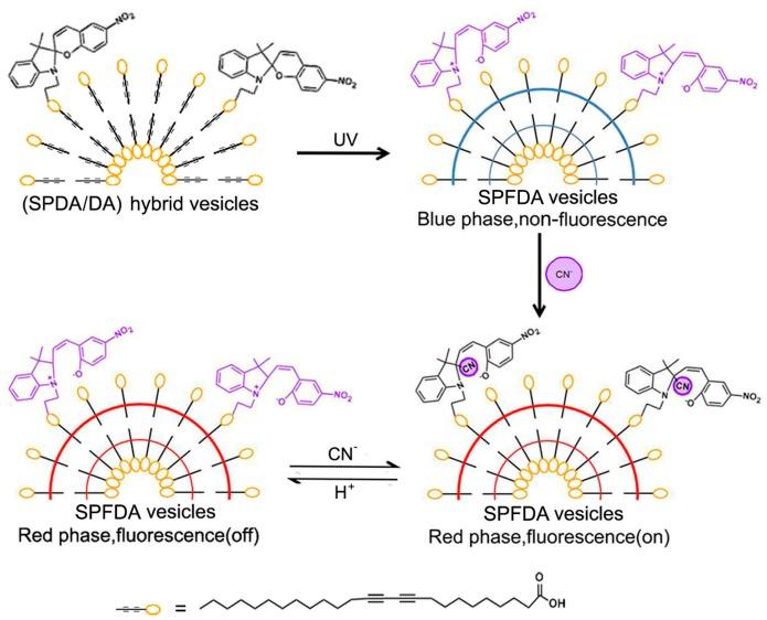 https://cdn.ncbi.nlm.nih.gov/pmc/blobs/5a0b/6149790/f8a9b6b86d79/molecules-22-02236-g003.jpg