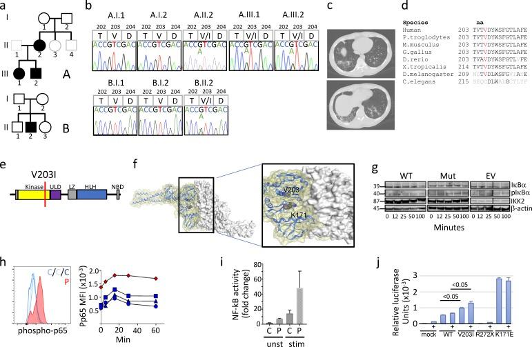 https://cdn.ncbi.nlm.nih.gov/pmc/blobs/5a0b/6219745/2913a16d5d0b/JEM_20180639_Fig1.jpg