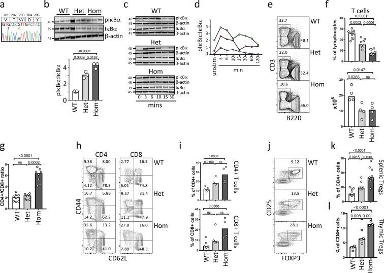 https://cdn.ncbi.nlm.nih.gov/pmc/blobs/5a0b/6219745/2eb49aa217ee/JEM_20180639_Fig4.jpg