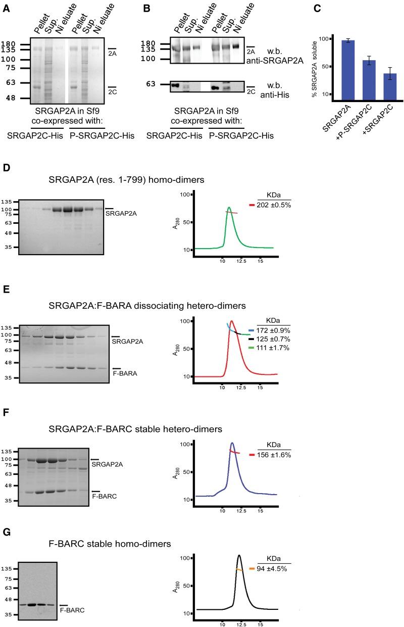 https://cdn.ncbi.nlm.nih.gov/pmc/blobs/5a0d/5435084/5f8806022138/msx094f6.jpg