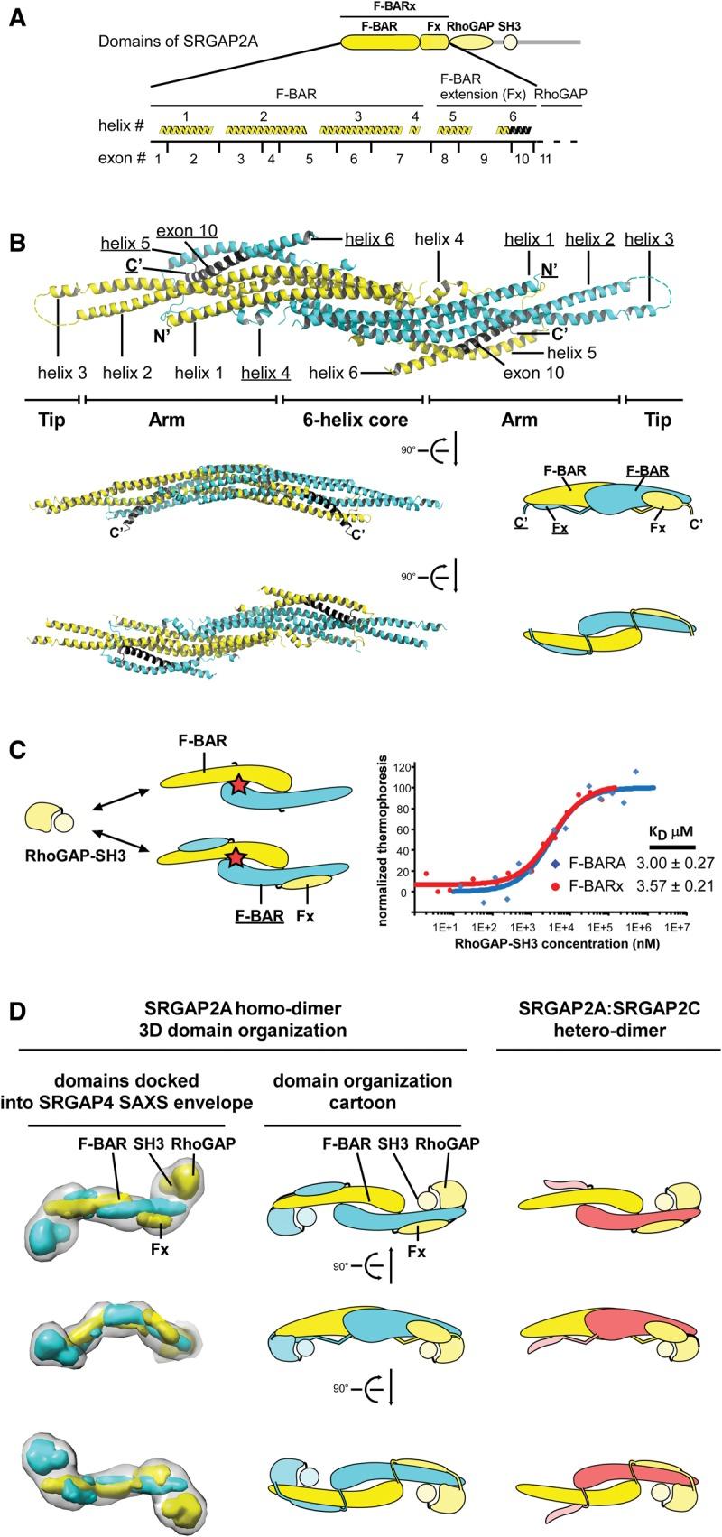 https://cdn.ncbi.nlm.nih.gov/pmc/blobs/5a0d/5435084/ad85e180fdfe/msx094f2.jpg