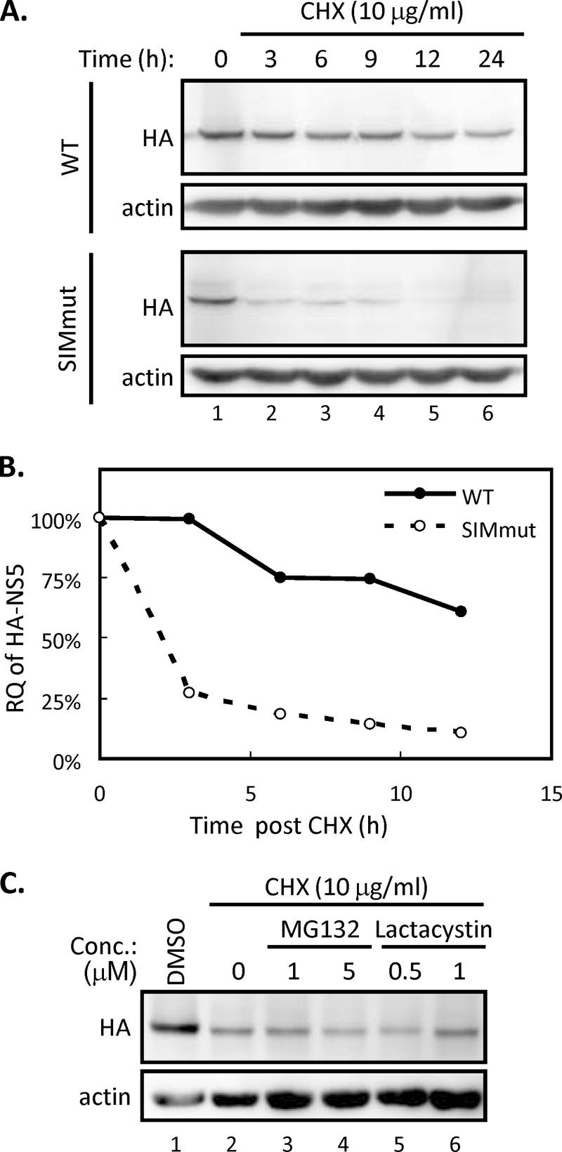 https://cdn.ncbi.nlm.nih.gov/pmc/blobs/5a10/4836324/4557f4075003/zjv9990915840005.jpg