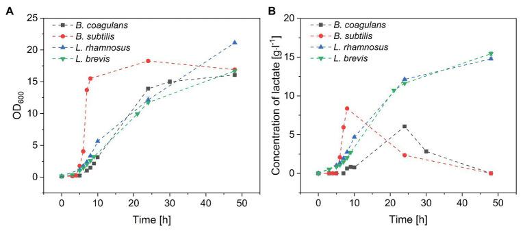 https://cdn.ncbi.nlm.nih.gov/pmc/blobs/5a10/7874009/3b8de24f46f3/fmicb-11-620626-g001.jpg