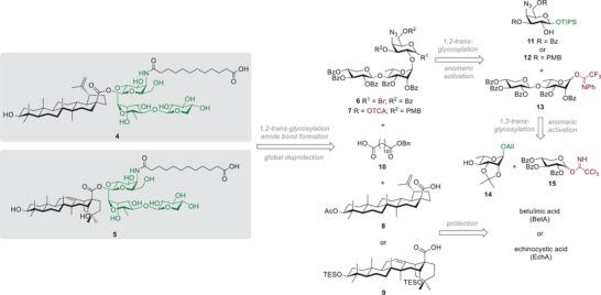 https://cdn.ncbi.nlm.nih.gov/pmc/blobs/5a11/12089902/71acbf8a6daf/CHEM-31-e202500994-g006.jpg